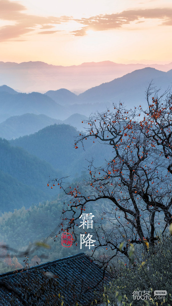 24节气绝美微信素材图片