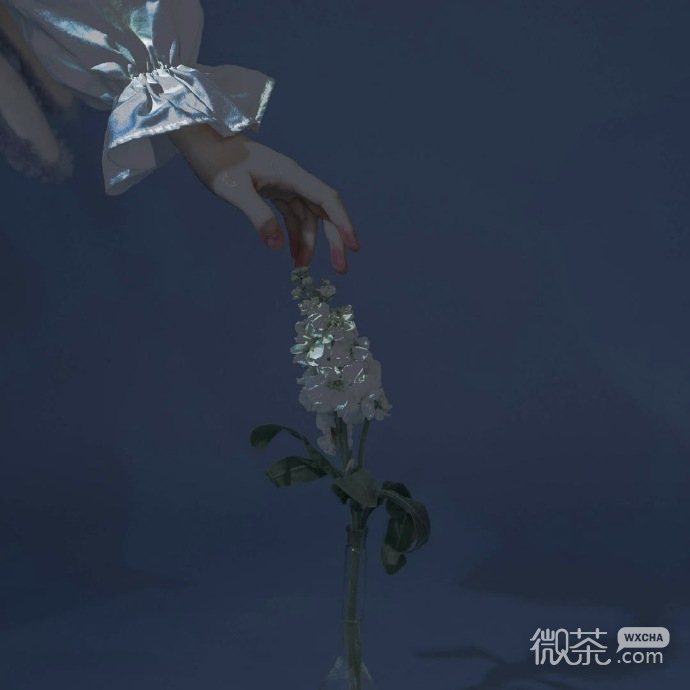 神秘好看的微信背景图