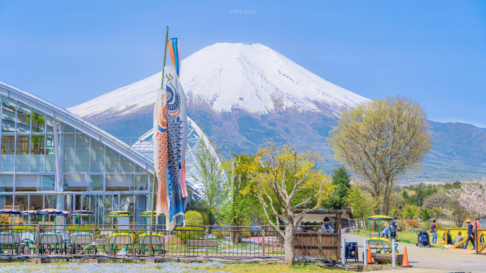 富士山的初夏微信素材图片