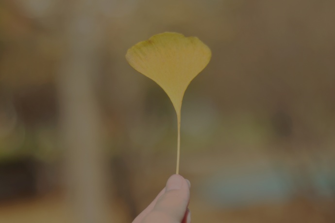 超唯美有意境的微信朋友圈配图