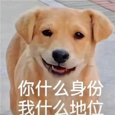 高情商怼人的幽默表情