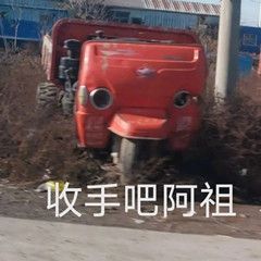 最新最近搞笑微信表情包