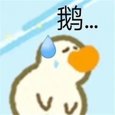 第一次聊天打招呼的表情包