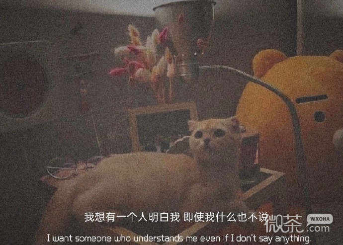 唯美文艺优美的微信聊天背景图