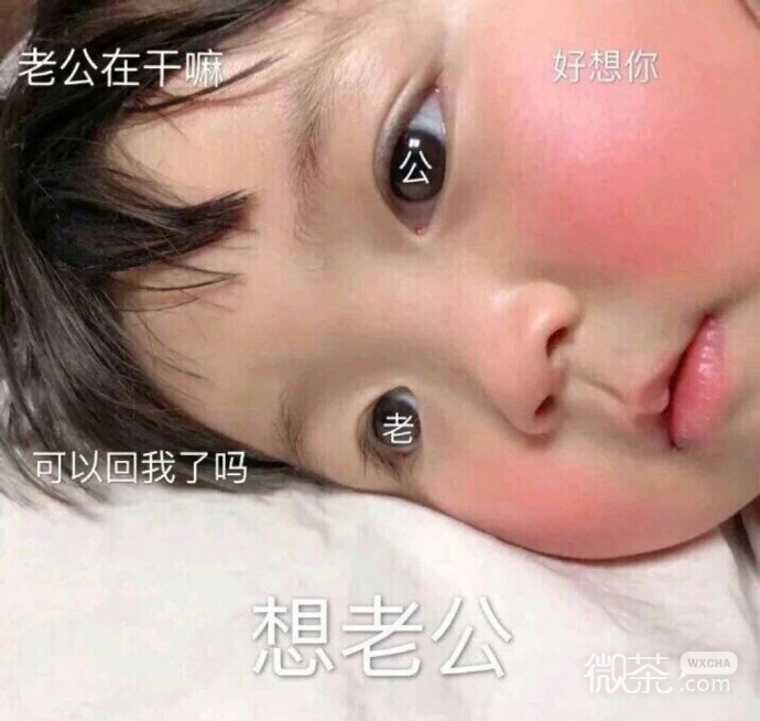 又沙雕又可爱的聊天微信表情包