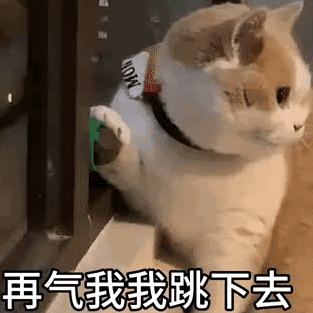 可爱猫猫萌萌的动态微信表情包
