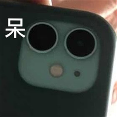 苹果后置相机奇怪又有趣的表情包