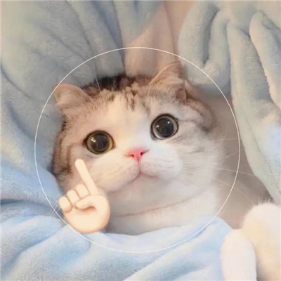 热门好看的个性情侣微信头像