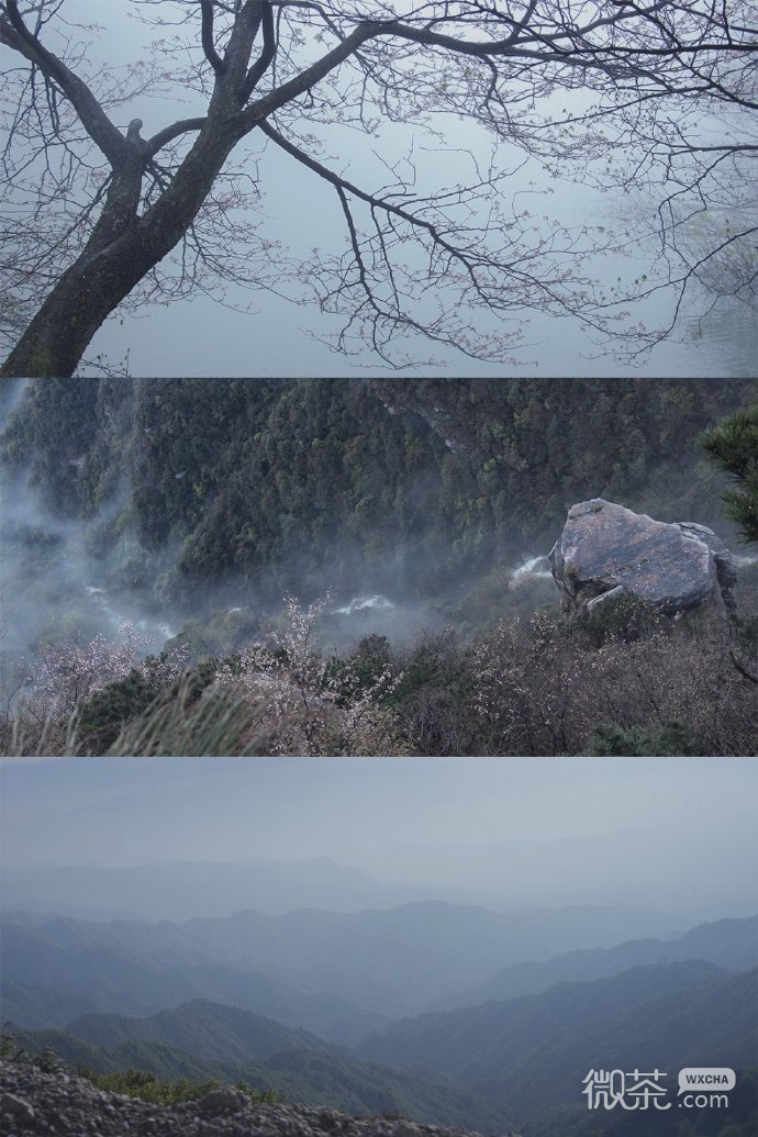 三屏的迷雾山林自然风光微信聊天背景图