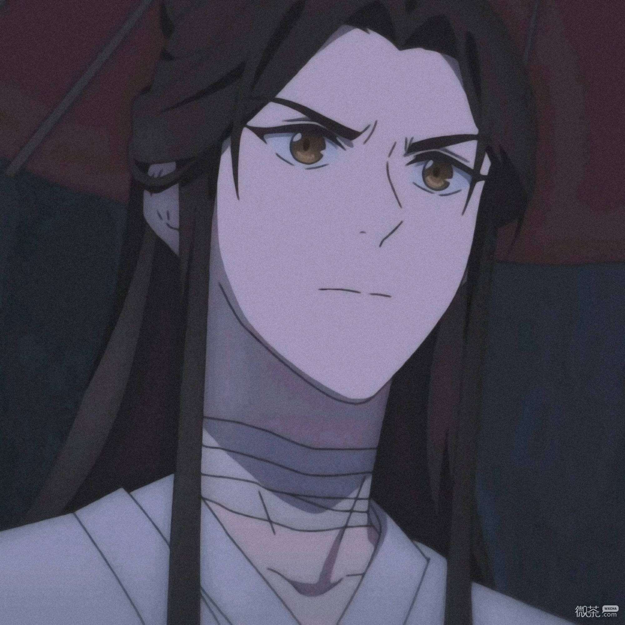 《天官赐福》仙乐太子谢怜微信头像