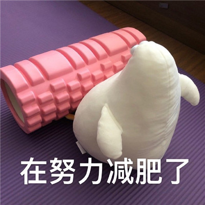 魔性海鸥搞笑微信表情包
