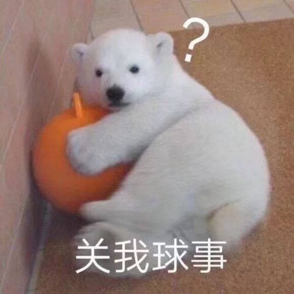 永不过时的好笑微信表情包