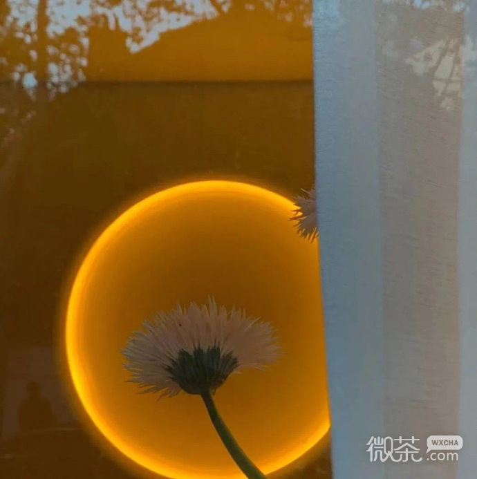 小众却很高级的微信朋友圈背景图