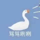 可爱暴躁的沙雕大鹅微信表情包