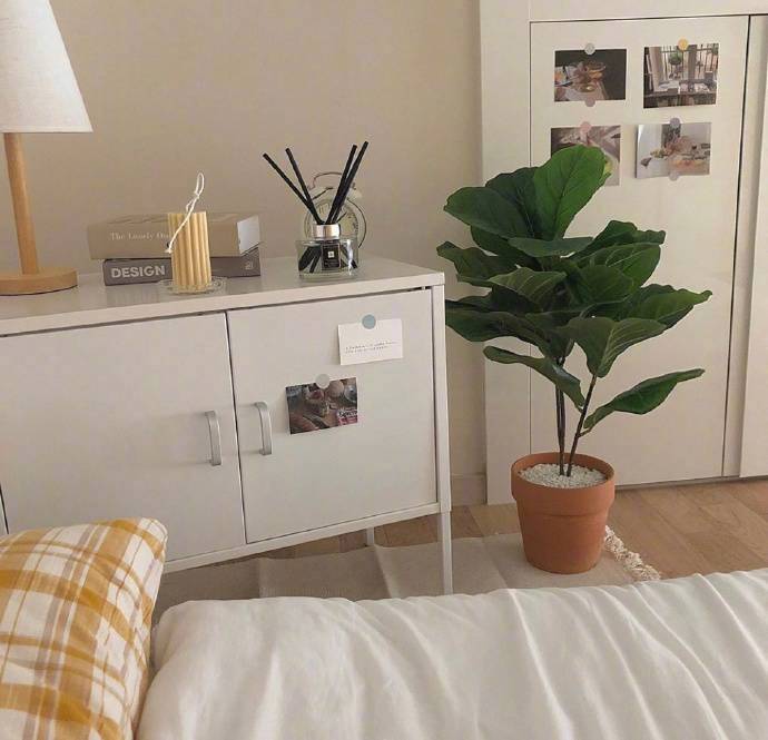 实用的温馨单人房布置参考微信素材图片