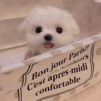 很有意境的带字复古头像