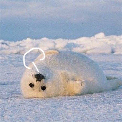 动物叹气可爱微信头像