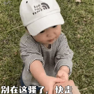 2021可永久使用的最新搞笑微信表情包