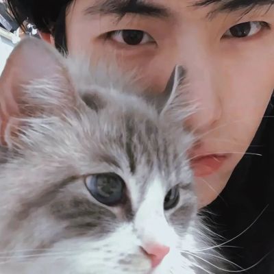 高级精致的情侣头像