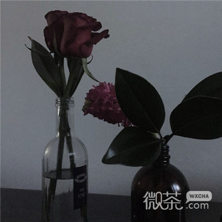 一看就舒心的独一无的唯美背景图