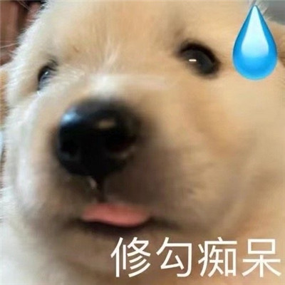 心情很低落时使用的表情包