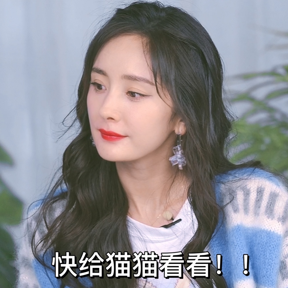 杨幂猫猫式可爱微信表情包