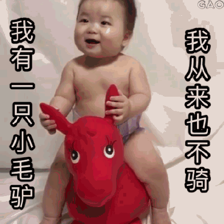 黄夏温骑玩具毛驴搞笑微信表情包