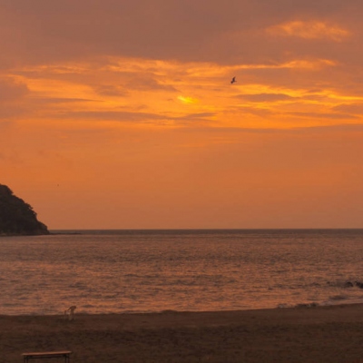 最新好看的唯美日落风景头像