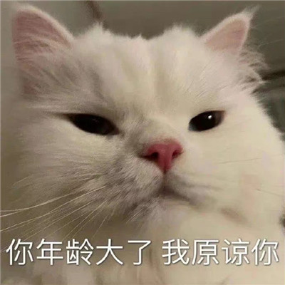 好玩的斗图表情包