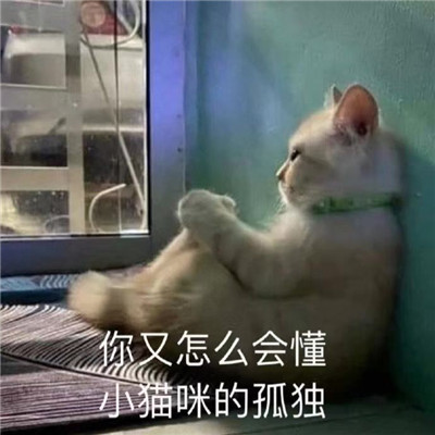 悲伤难受的系列微信表情包