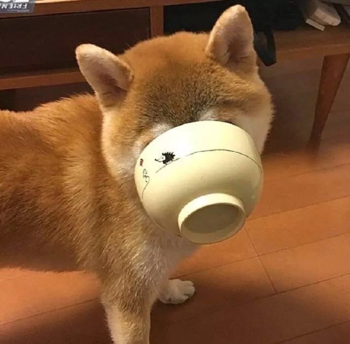 干饭人可爱情侣微信头像