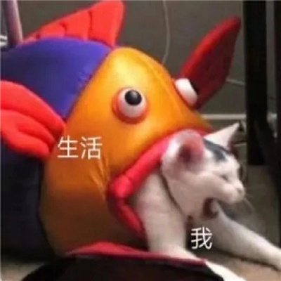 微信斗图可爱表情