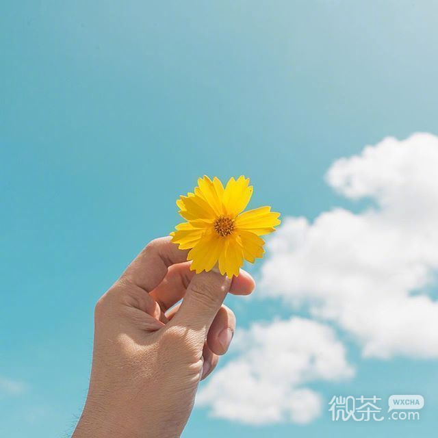 手上拿了枝花素材图片
