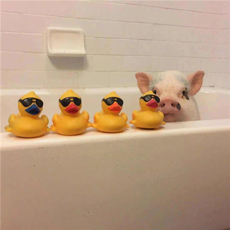 可爱感爆棚的微信背景图