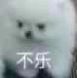 超乐的小白狗微信表情包