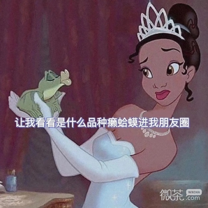 迪士尼公主拽姐版本朋友圈背景图 ​​​​