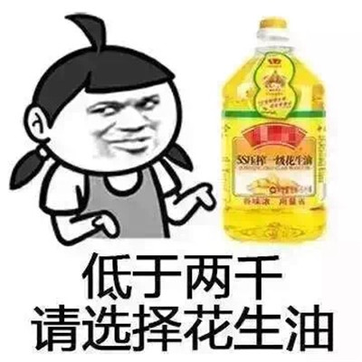 月薪与旅游的搞笑表情包
