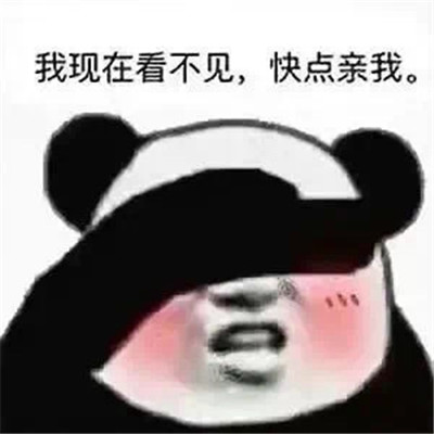 热门收藏表情包