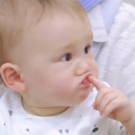 Zen全仔可爱微信头像