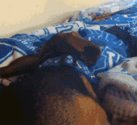 超火的动态斗图表情