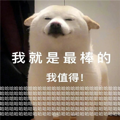 超好笑爆好笑的幽默表情