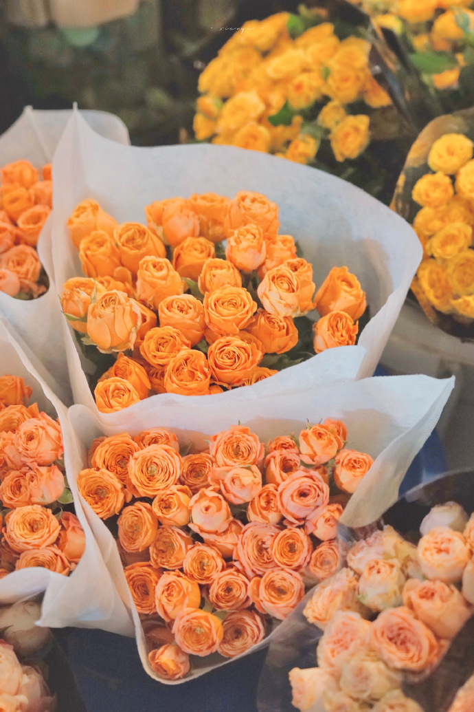 超美的鲜花个性微信头像