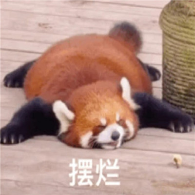 恶搞幽默的表情