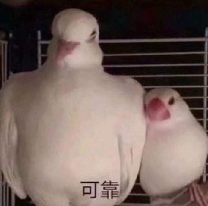 鸽子沙雕好玩微信表情包