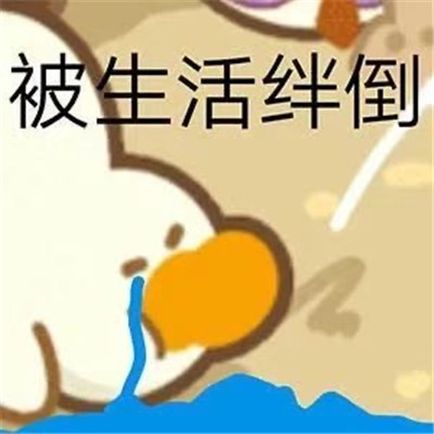 聊天很实用的微信表情