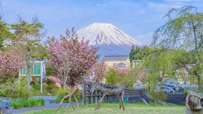富士山的初夏微信素材图片