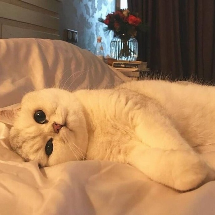 可爱趣味沙雕的个性微信头像