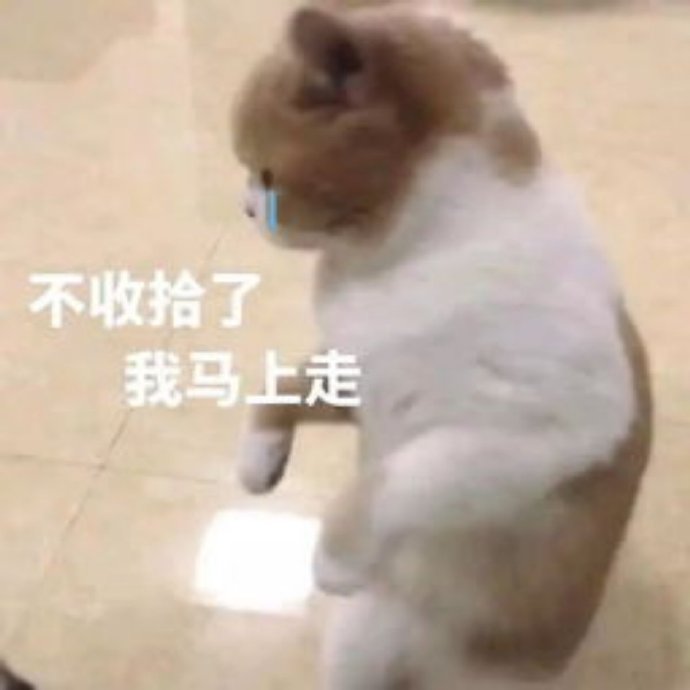 怼人耍赖小猫咪微信表情包