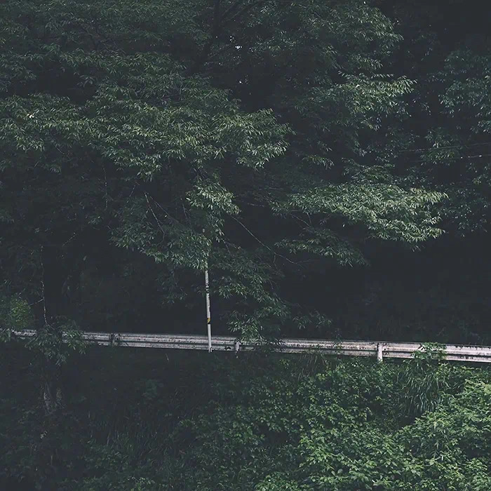 绿色系护眼朋友圈背景图