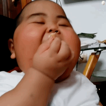 肉嘟嘟的tatan吃面包微信表情包